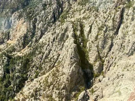 900 meters above sea level