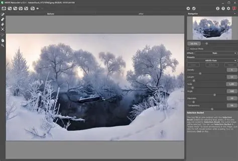 A Brief History of AKVIS NatureArt