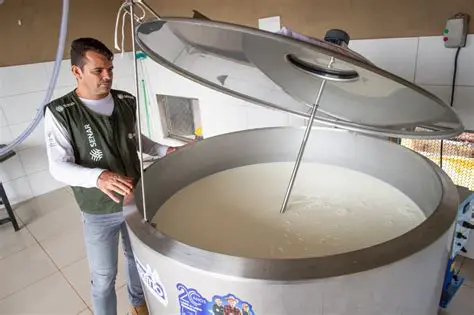 A Cadeia Produtiva da Bovinocultura Leiteira