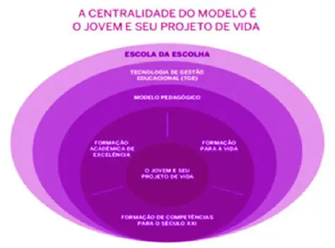 A Centralidade do Professor