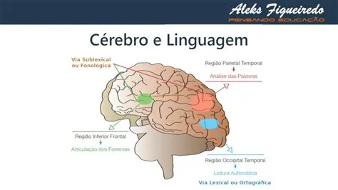 A linguagem como um reflexo da cultura