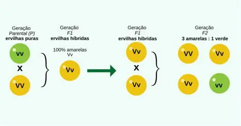 A Teoria da Hereditariedade de Mendel