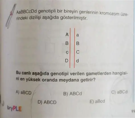 AaBbccDDEeffGg Genotipli Bir Birey