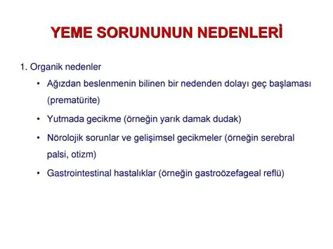 Abiler Ablalar Sorununun Nedenleri