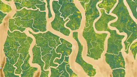 Access to a vast library of maps