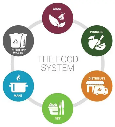 Access to food and nutrition