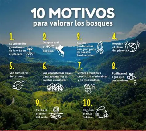 Acciones Municipales para Preservar el Lago