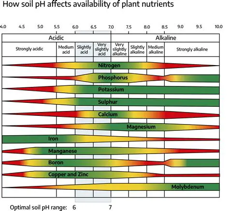 according to the availability of nutrition