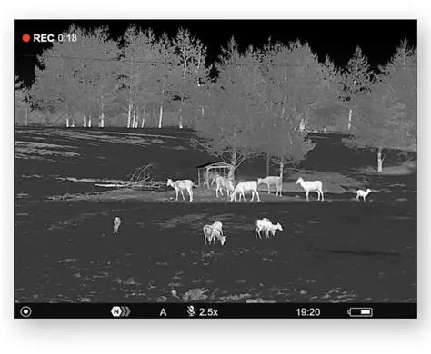 Accurate Ballistic Calculations