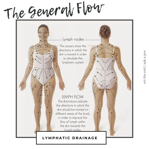 Actions of Lymphatic Drainage in the Body