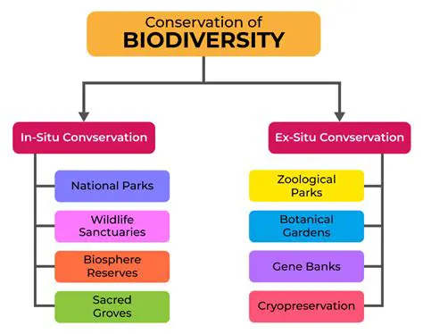 Active Conservation Methods