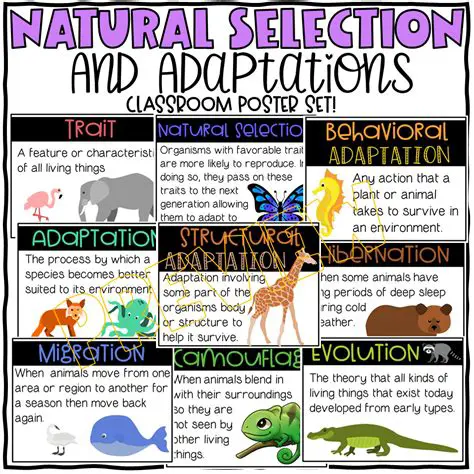 Adaptation and Natural Selection
