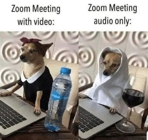 Add humor to online interactions