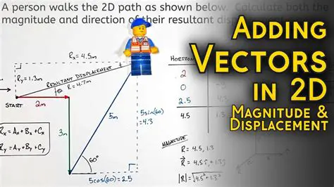 Add the magnitudes of the vectors