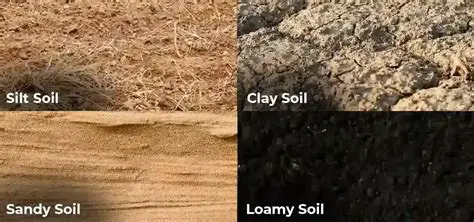 Addition of water to sandy soil