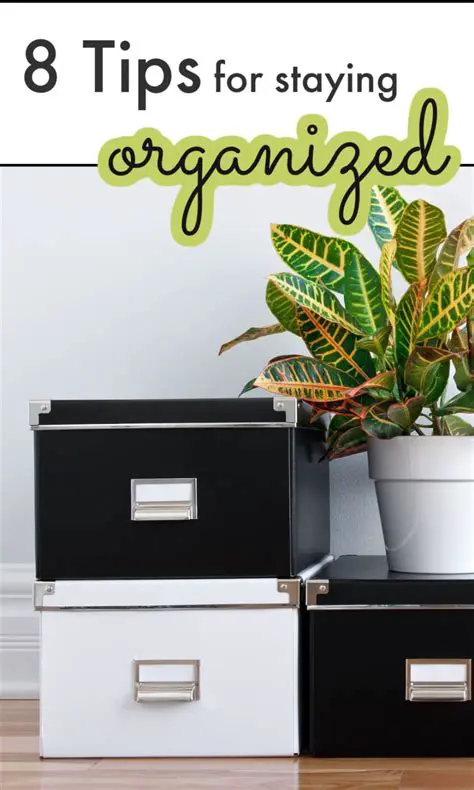 Additional Tips for Staying Organized