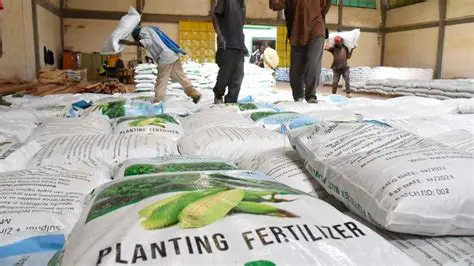 Advantages and Challenges of Subsidized Fertilizer Distribution