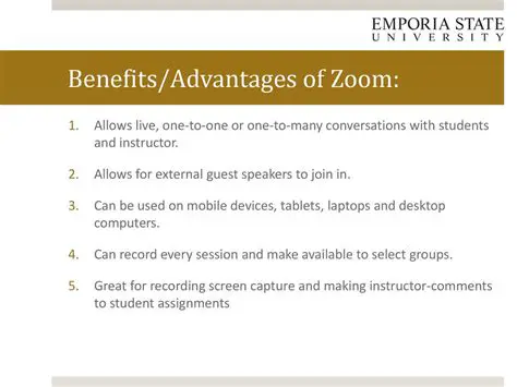 Advantages of Desktop Zoom