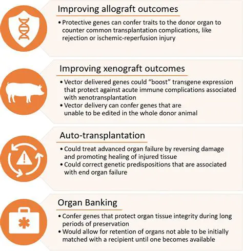 AGP2K: The Next Frontier in Advanced Genetic Programming Explained