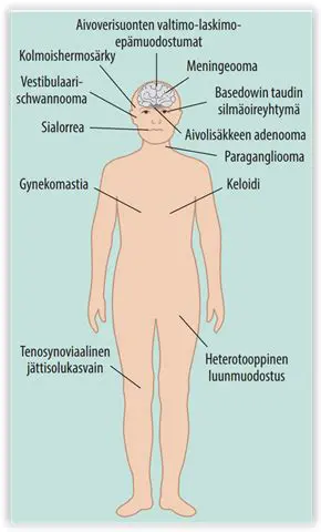 Aktiviinireseptorien rooli solujen kasvussa