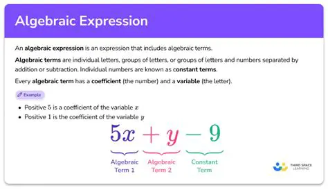 Algebraic Equation Representation