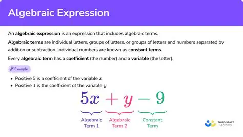 Algebraic Expression Basics