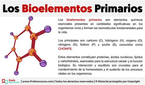 Alimentos que contienen bioelementos primarios