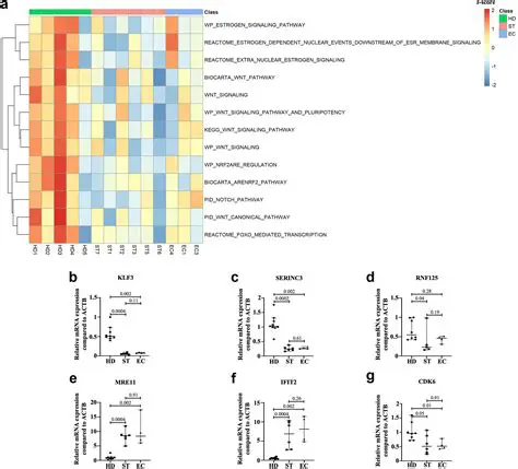 Altered Memory due to Ordinazole