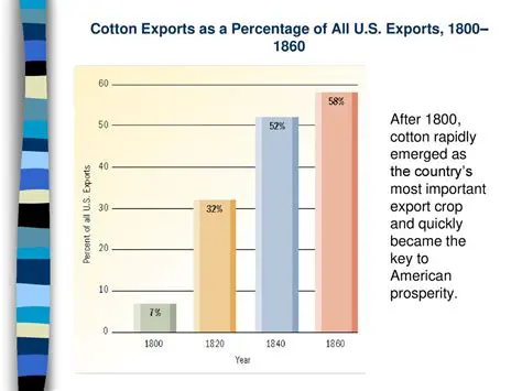 American Cotton Exports to Britain
