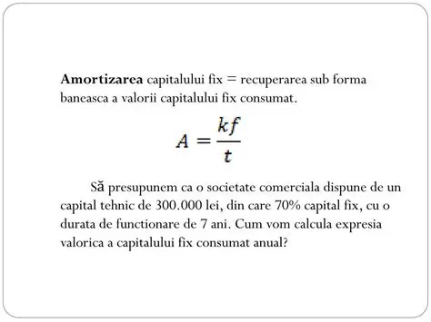 Amortizarea Capitalului Fix