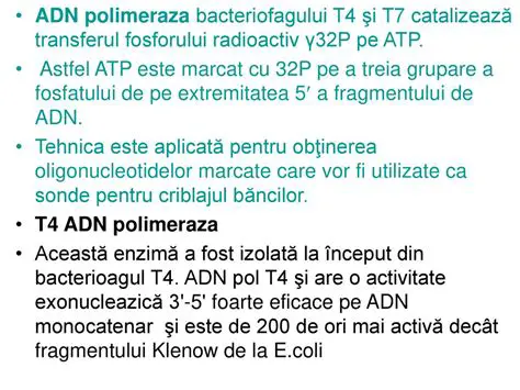 Analiza Fragmentului Marcat
