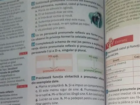 Analiza pronumele reflexive