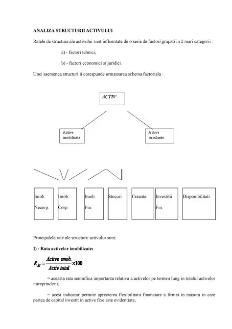 Analiza Structurii Sintactice
