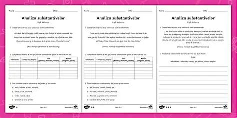 Analiza substantivelor din text