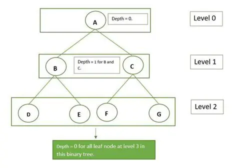 Analysis Based on the Depth of the Stem