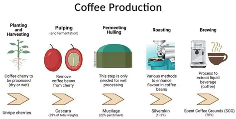 Analysis of Factors Affecting Coffee Demand