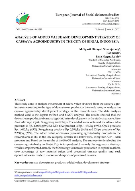 Analysis of Factors Affecting the Development of Cassava Agroindustry
