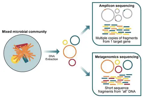 Analysis of Microbial Activity