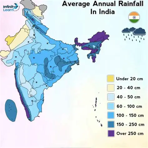 Analysis of Rainfall Distribution Patterns