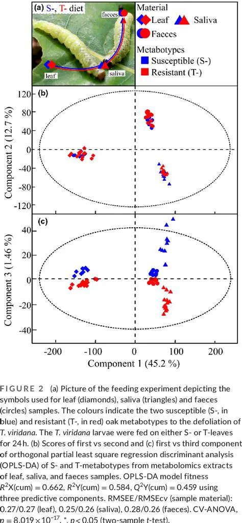 Analysis of Sulfation Results
