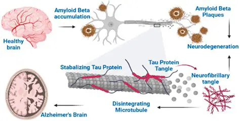 Analysis of the Existence of Meciho Lakeside Hotel Resort
