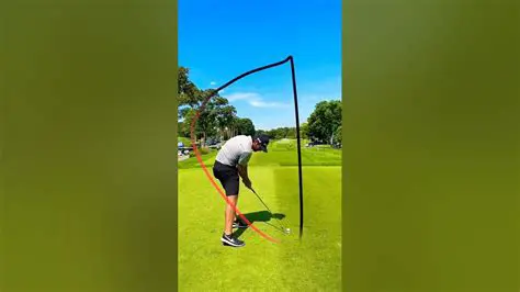 Analyzing the Golf Swing Sketch