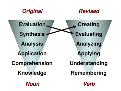 Analyzing the Verb Options