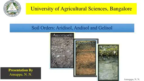 Andisol soil area controls