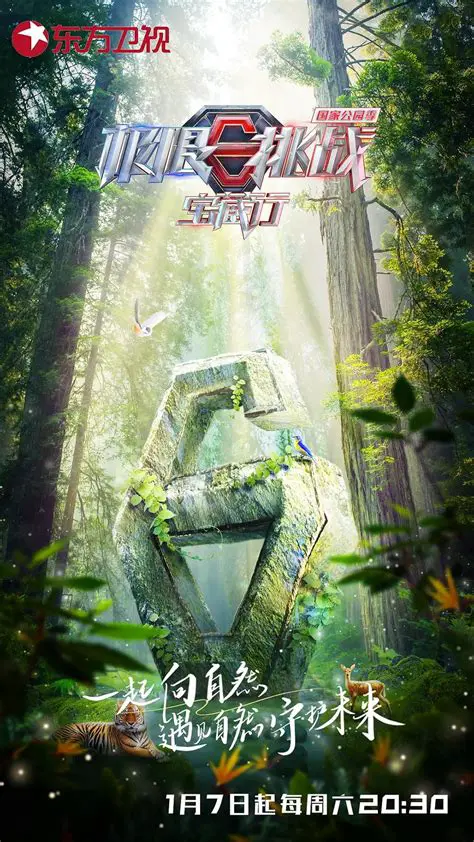 安苏·法蒂：巴塞罗那神童的崛起、挑战与未来展望