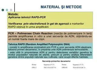 Aplicarea tehnicii matematice