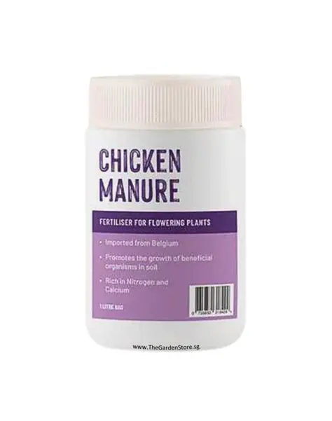 Application of chicken manure