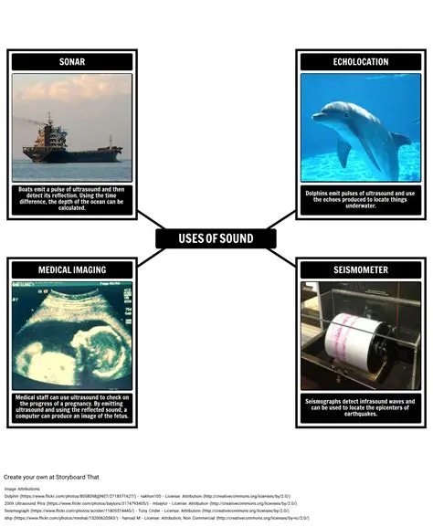 Applications of Sound in Biology