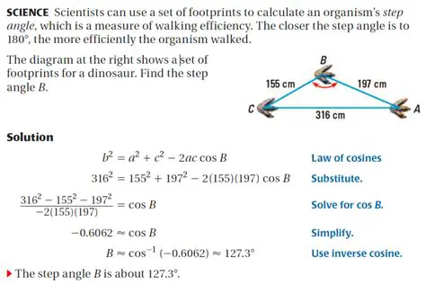 Applications of the Law of Sines