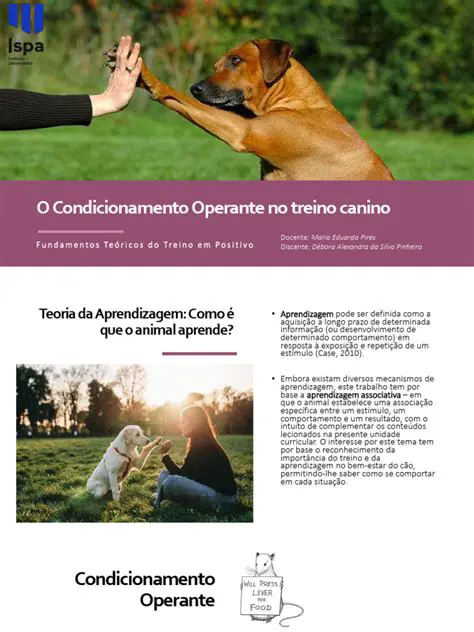 Aprendizado e Condicionamento